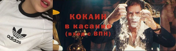 ПСИЛОЦИБИНОВЫЕ ГРИБЫ Армянск
