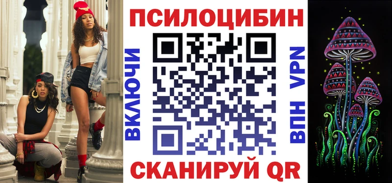 закладка  Голицыно  Галлюциногенные грибы Magic Shrooms 